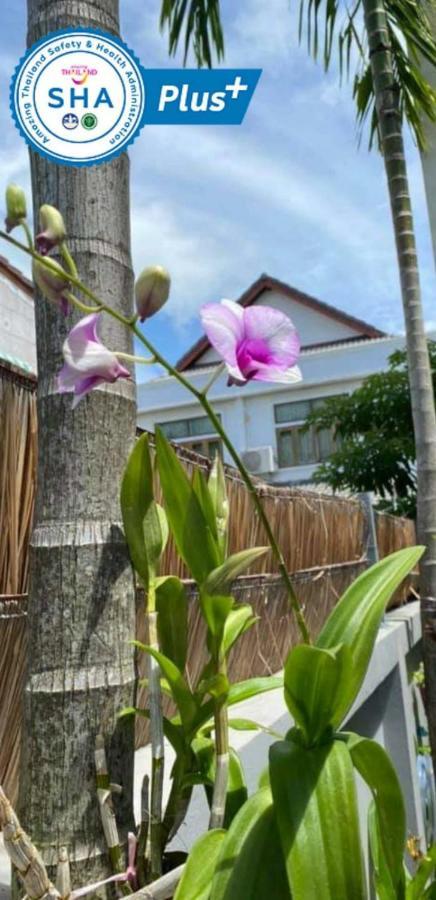 Vivi Boutique Room Hotel Sha Plus Rawai 外观 照片
